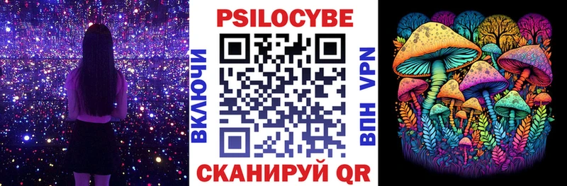 Псилоцибиновые грибы Cubensis  Приморск 